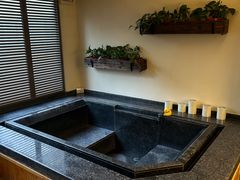 -春晖园度假酒店温泉