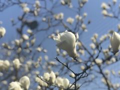 -飞洲国际广场