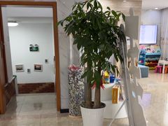 -茂菊口腔连锁(浦东南路店)