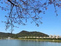 -风云岭森林公园