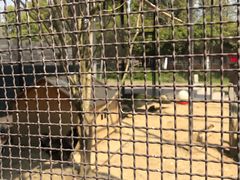 -合肥滨湖国家森林公园