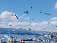 -海埂大坝