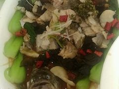 -正阳春鸭子楼(汉沽店)