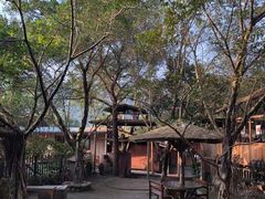 -天门沟九州驿站树上汤泉