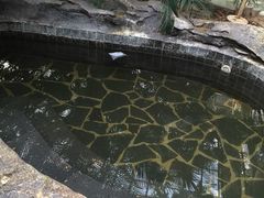 -龙达温泉生态城