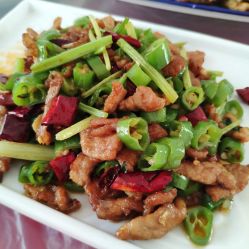 -上美四季动物农场
