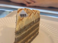 -TD66高山铁皮石斛养生茶饮