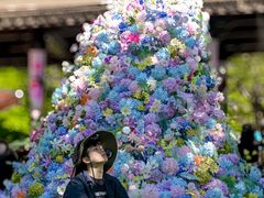 -灵玲国际马戏城
