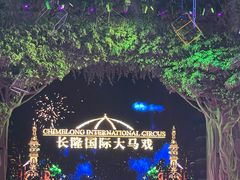 -广州长隆国际大马戏