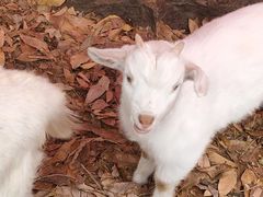 -杭州师范大学(下沙校区)