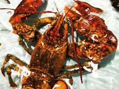 -尚海豆捞(乐虹坊店)