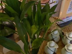 -施奈儿.洗头頭療.按摩SPA.采耳(上梅林店)