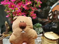-不舍昼夜咖啡馆
