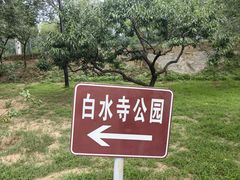 -白水寺森林公园