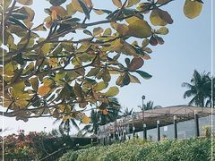 -渔家火锅·海鲜自助餐·演艺(亚龙湾天域酒店)