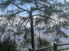 -缙云山景区