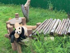 -沈阳森林动物园