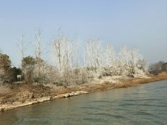 -嬉子湖生态旅游区