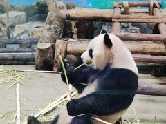 -杭州动物园