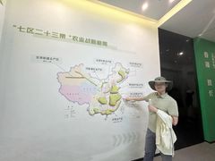 -杭州湾海上花田景区