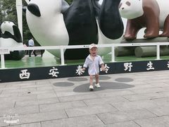 -西安秦岭野生动物园