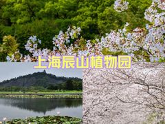 -上海辰山植物园