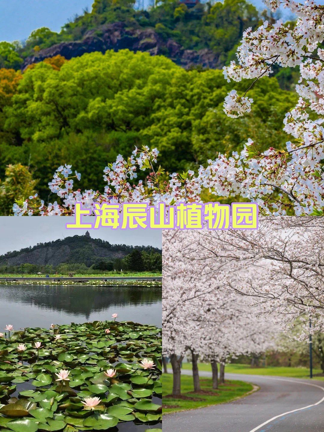 植物园才是吸氧好去处/上海辰山植物园