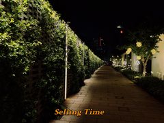 -青果巷历史文化街区