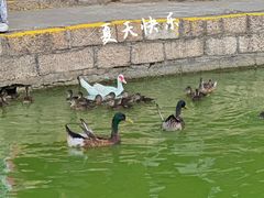 -团结湖公园