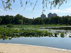 -太阳宫公园