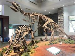 -自贡恐龙博物馆