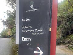 -怀托摩萤火虫洞