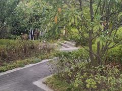 -太白山御龙湾温泉