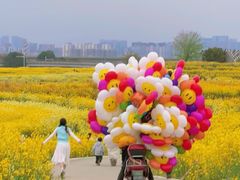 -三圣花乡旅游区