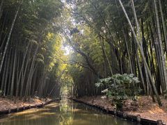 -同里国家湿地公园