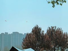 -汉长安城未央宫国家考古遗址公园