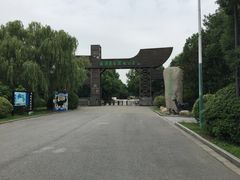 门面-溱湖国家湿地公园