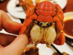 -源·咖啡自助餐厅·海鲜·烧烤·三文鱼(海口华彩洲际酒店)