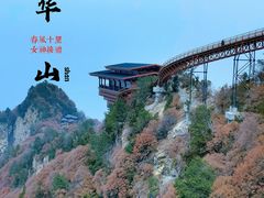 -少华山国家森林公园