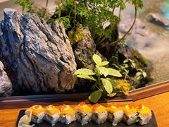 -森味薪火烧•烧鸟居酒屋•日本料理(望京店)