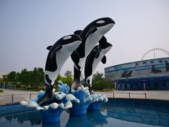 -石家庄极地海洋世界