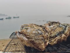 -石槽海滨浴场