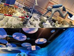 -中国（海南）南海博物馆