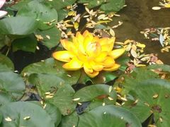 -镇江市南山风景名胜区竹林景区