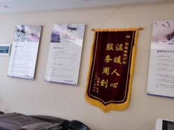 -碧莲盛·不剃发植发