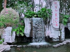 -广州市流溪河国家森林公园