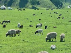 -新疆那拉提国家旅游度假区