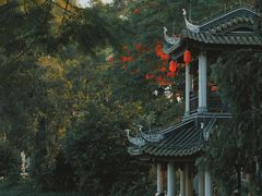 -荔湾湖公园