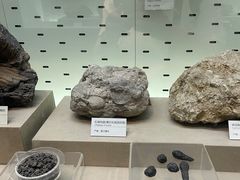 -浙江自然博物院(杭州馆)