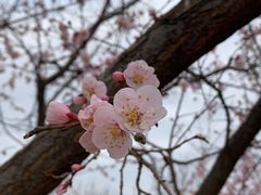 -大兴滨河森林公园